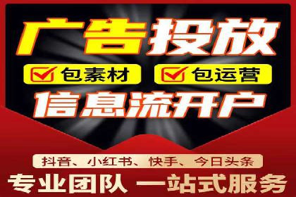 成功运用SEM技术提升网站流量的案例研究